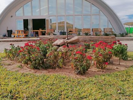 Jose L. – Chihuahua, México